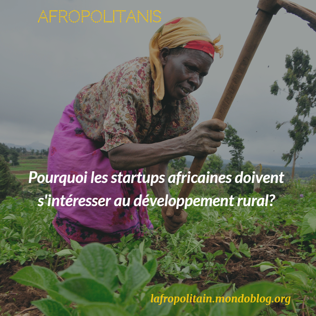 Developpement rural_startup africaine_entrepreneurial_Afropolitanis